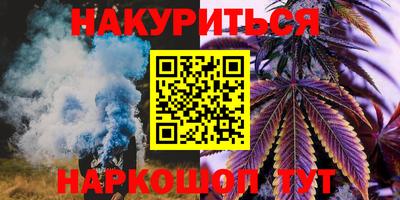 гидра Камышлов
