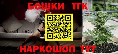 гидра Камышлов
