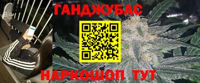 гидра Камышлов