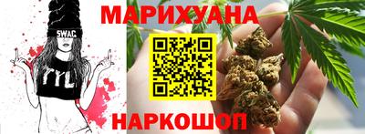 гидра Камышлов